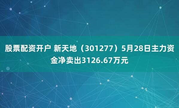 股票配资开户 新天地（301277）5月28日主力资金净卖出3126.67万元