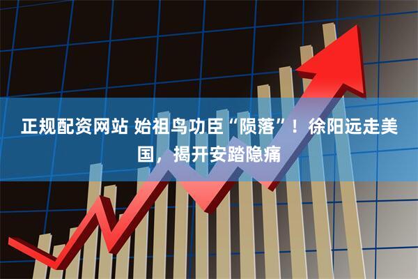 正规配资网站 始祖鸟功臣“陨落”！徐阳远走美国，揭开安踏隐痛